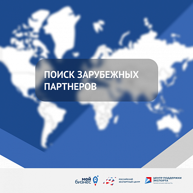 Поиск зарубежных партнеров