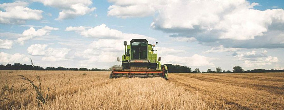 Правительство смягчило условия погашения льготных инвесткредитов для аграриев